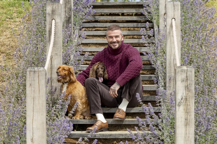 Beckham khoe thú vui điền viên F4wX9cKxLZDF7oPi2eXwpT 1280 80 4342 7295 1761618070